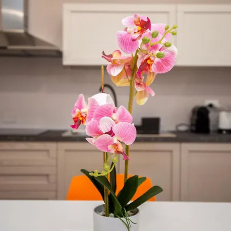 L'orchidea 公寓 滨海弗兰卡维拉