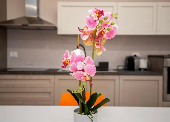 L'orchidea Lejlighed Francavilla Al Mare